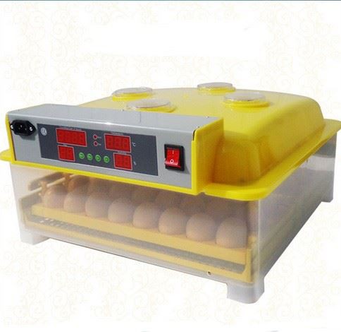 Mini Smalll Incubator